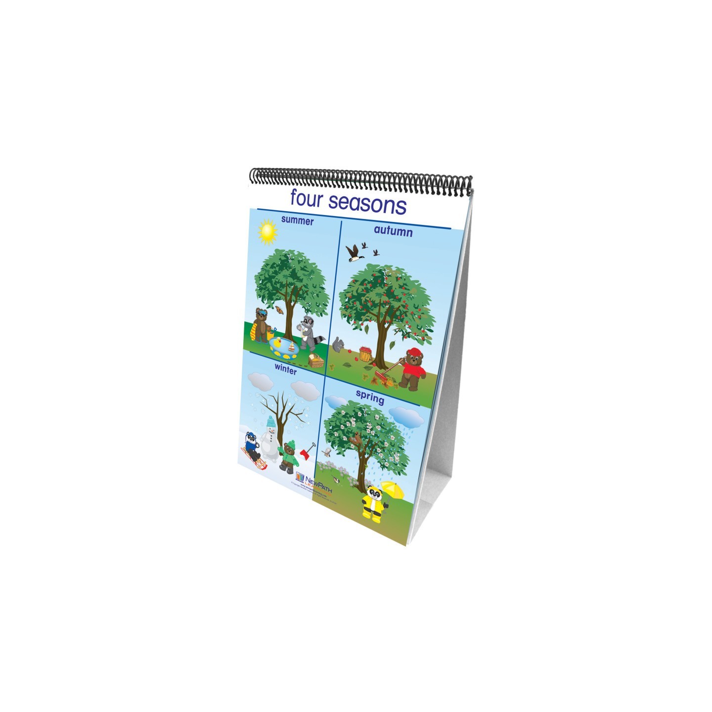 NewPath Learning Early Childhood Science Readiness Flip Charts, Weather & Sky