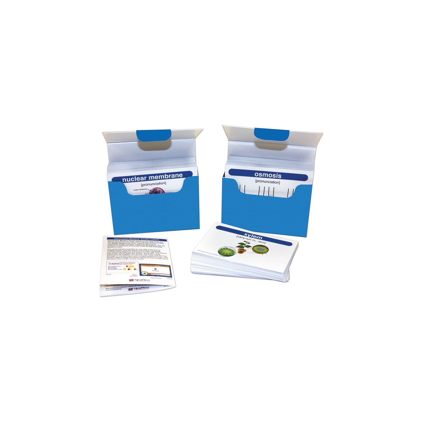 NewPath Learning Life Science Vocabulary Builder Flash Card Set, Middle School