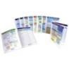 NewPath Learning Algebra Skills Visual Learning Guides™ Set