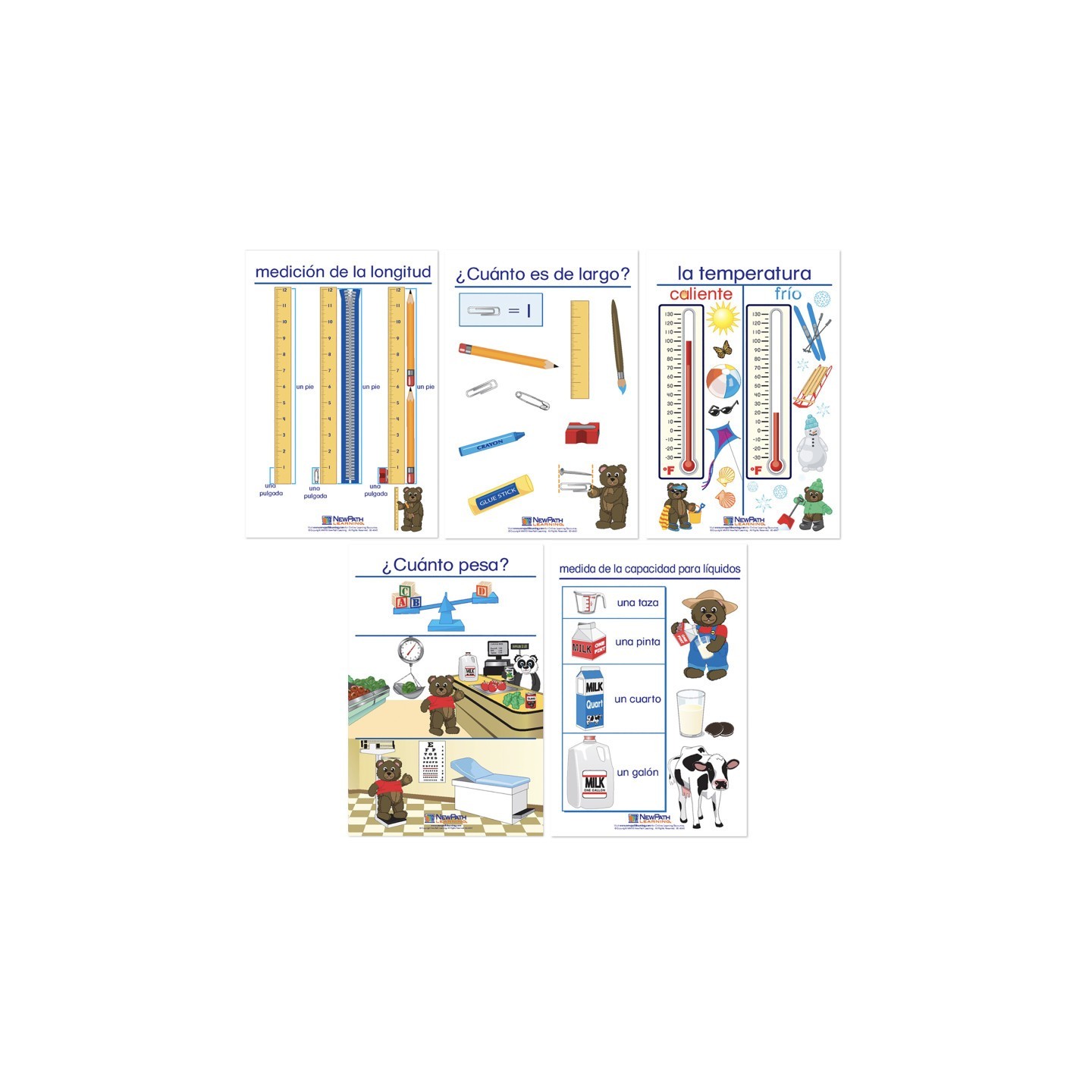 NewPath Learning Measurement Bulletin Board Charts, Set of 5, Spanish Edition