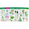 NewPath Learning All About Plants Bulletin Board Charts, Set of 5