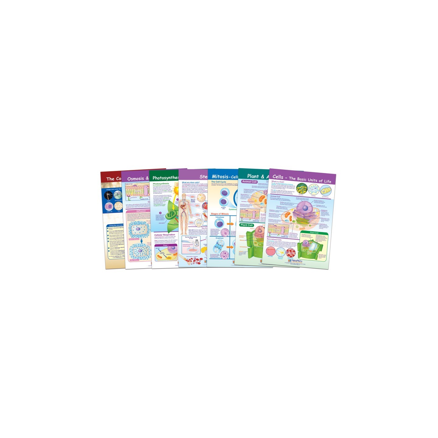 NewPath Learning Cells Bulletin Board Chart Set, Grades 3-5