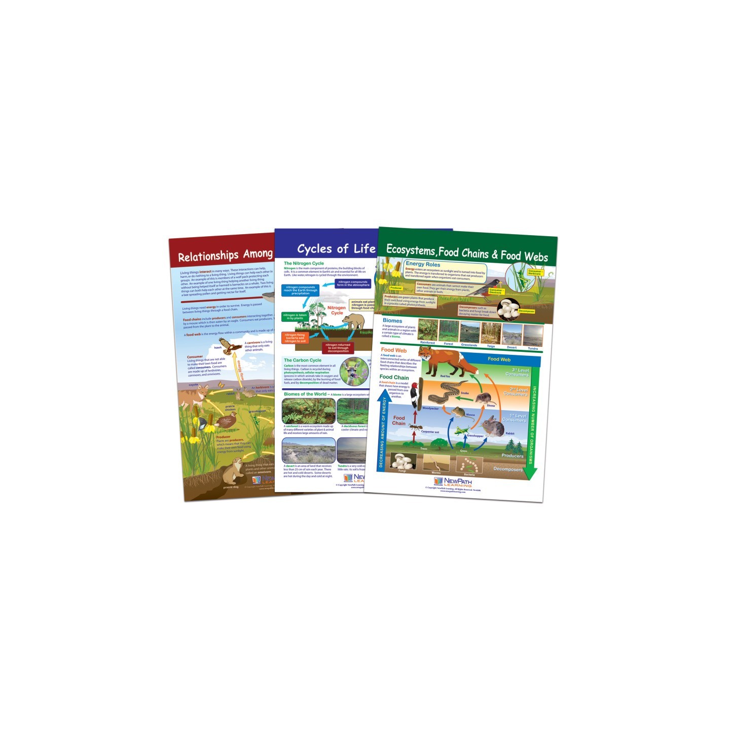NewPath Learning Ecology Bulletin Board Chart Set, Grades 3-5