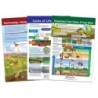 NewPath Learning Ecology Bulletin Board Chart Set, Grades 3-5
