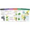 NewPath Learning Photosynthesis Bulletin Board Chart Set, Grades 3-5