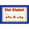 North Star Teacher Resources Star Student Punch Cards, Pack of 36