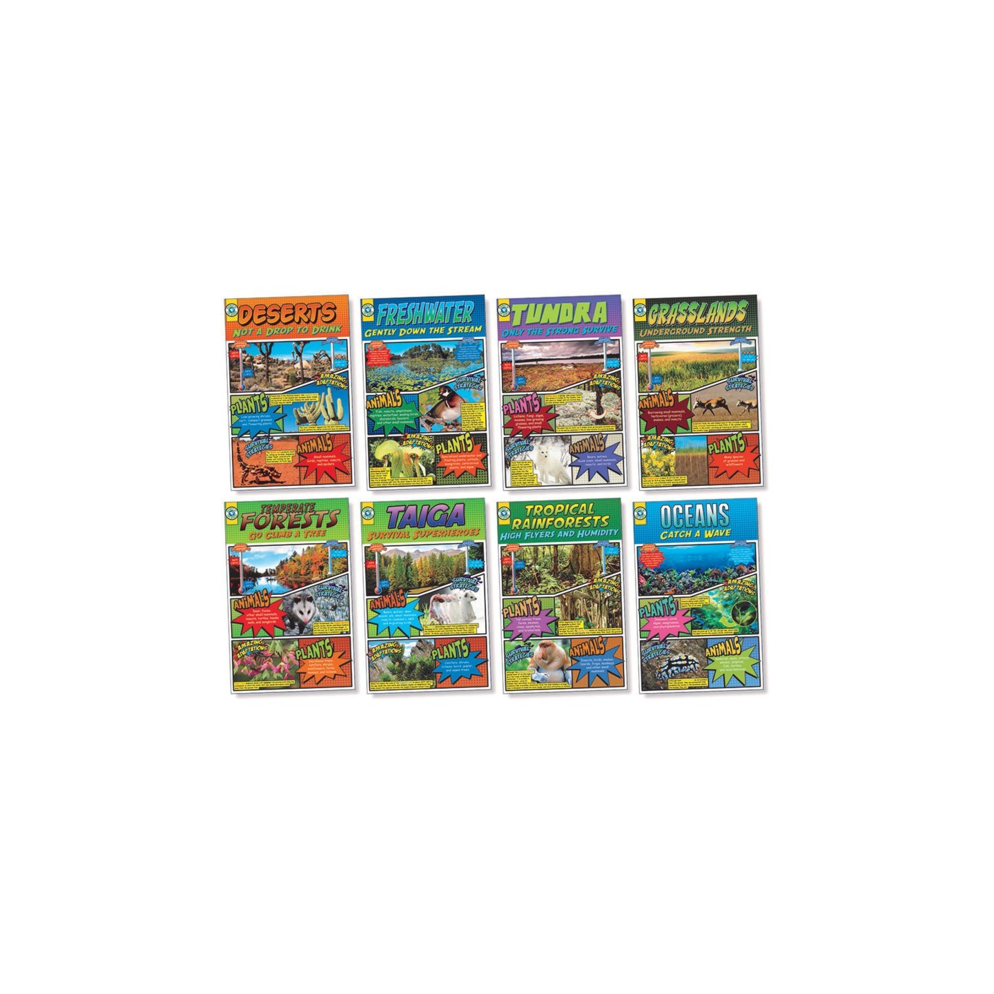 North Star Teacher Resources Biomes Bulletin Board Set