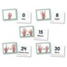 North Star Teacher Resources American Sign Language Cards, Number 0-30