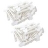 Masterson Art Products Paint Saver Keys (Tube Wringer Keys), Assorted Sizes, 24 Per Pack, 2 Packs