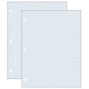 Pacon® Graphing Paper, White, 2-sided, 1/4" Quadrille Ruled 8-1/2" x 11", 500 Sheets Per Pack, 2 Packs