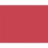 Pacon® 4-Ply Railroad Board, Red, 22" x 28", 25 Sheets