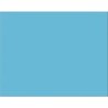 Pacon® 4-Ply Railroad Board, Light Blue, 22" x 28", 25 Sheets