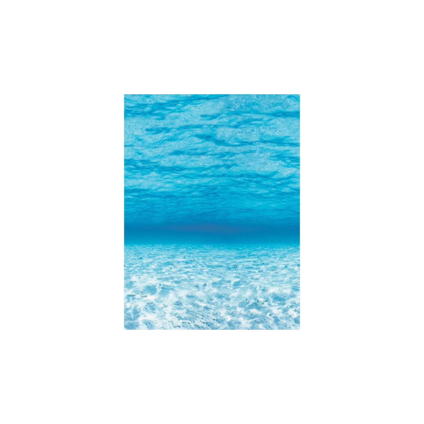 Fadeless® Bulletin Board Art Paper, Under The Sea, 48" x 12', 4 Rolls