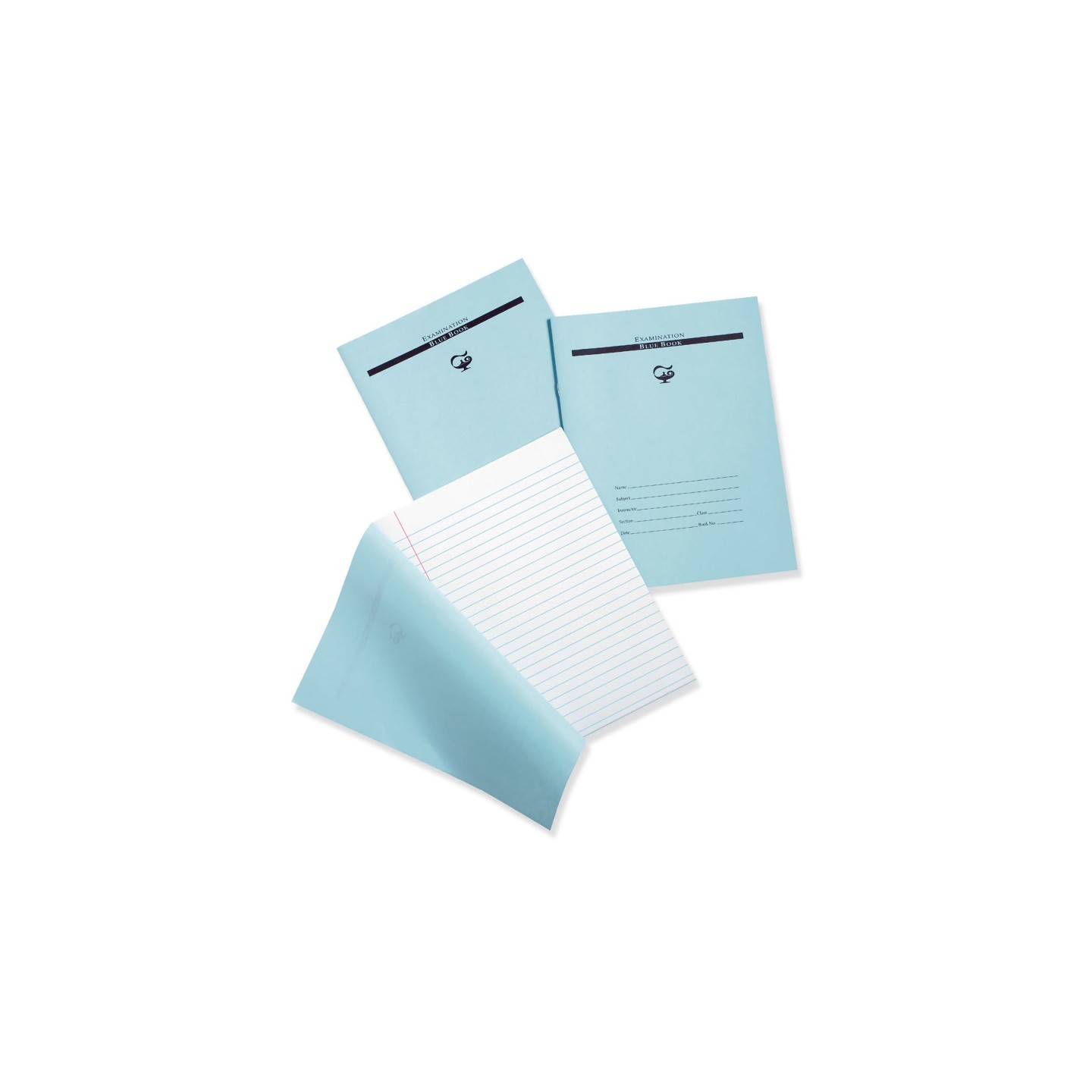 Pacon® Examination Blue Book, 16 Pages, 3/8 in ruled, 8-1/2" x 11", 1 Book