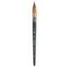 Princeton Aqua Elite Quill Brush, Synthetic Bristles, Short Handle Watercolor Paintbrush, Matte Black, Size 6, 1 Count
