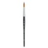 Princeton Aqua Elite Round Brush, Synthetic Bristles, Short Handle Watercolor Paintbrush, Matte Black, Size 10, 1 Count