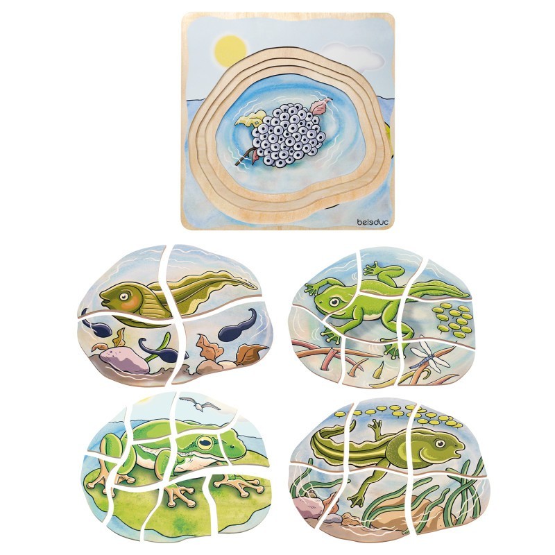 Beleduc Layer Puzzle, Frog