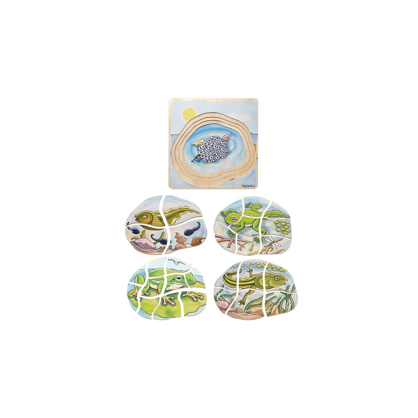 Beleduc Layer Puzzle, Frog