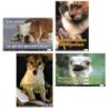 Poster Pals® French Fun Photo Posters Set #10, 12" x 18", Set of 4