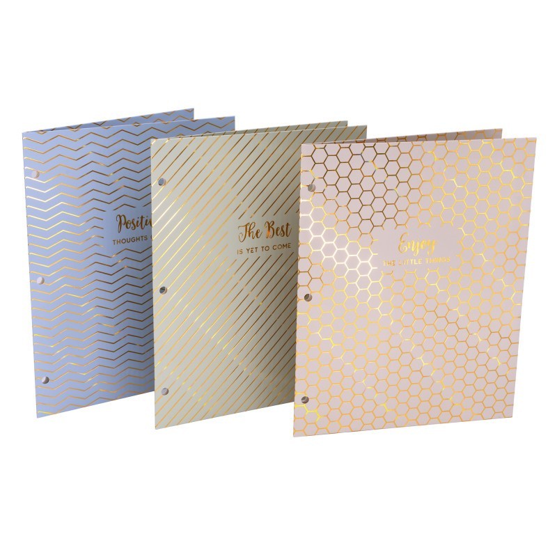 Pukka Pads Haze 2-Pocket Portfolio, Letter Size, Assorted Colors, Pack of 6