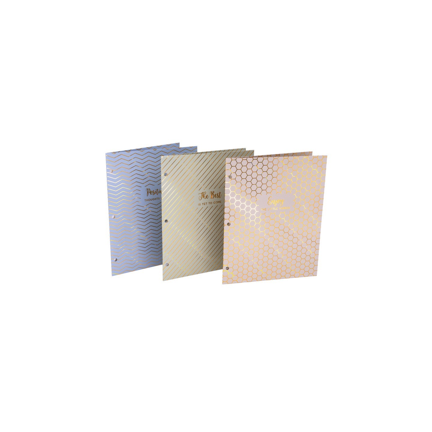 Pukka Pads Haze 2-Pocket Portfolio, Letter Size, Assorted Colors, Pack of 6