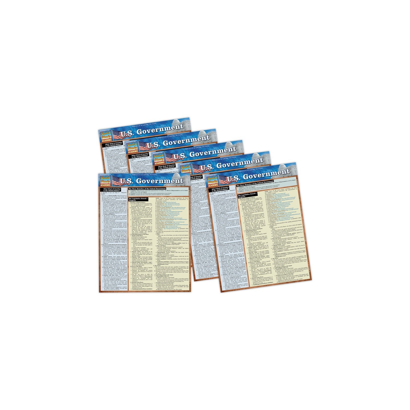 QuickStudy® Laminated Study Guide, U.S. Government