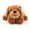 Roylco® Theo the Therapy Dog