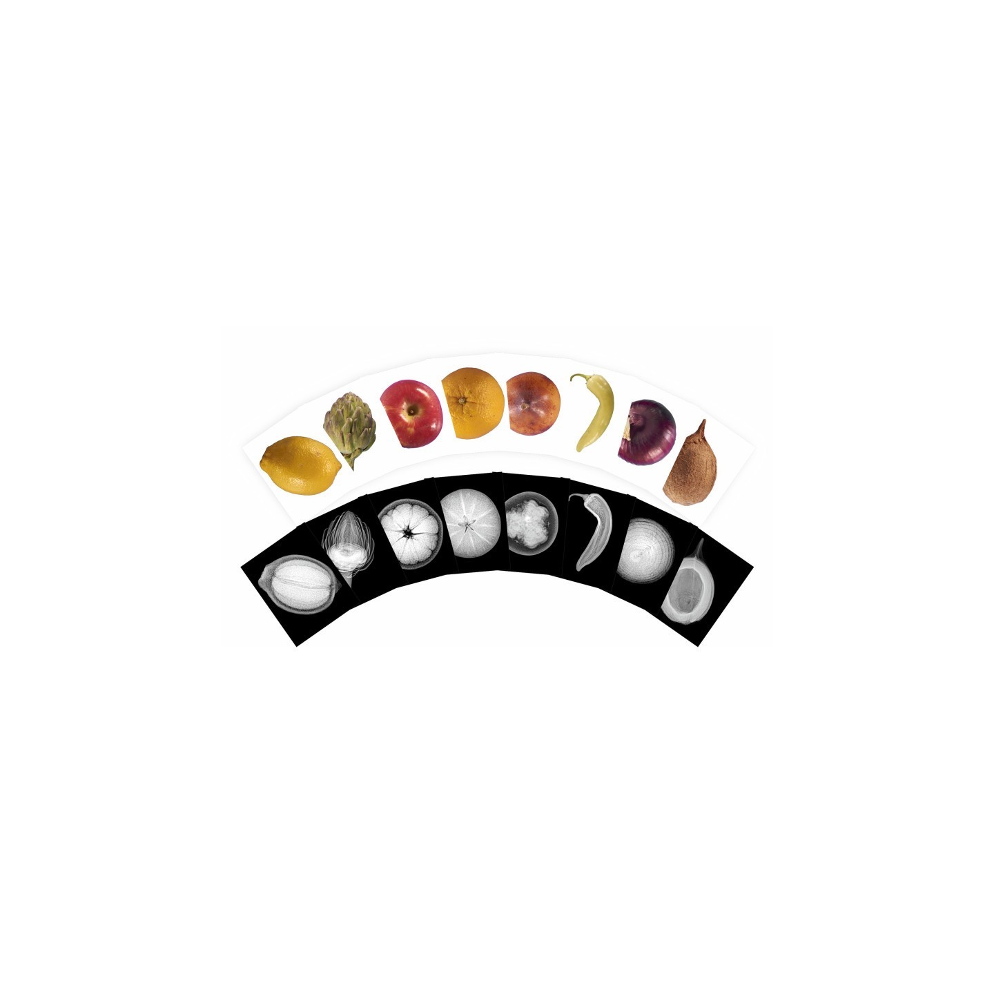 Roylco® Plant X-Rays & Picture Cards, Set of 42