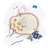 Roylco® See-Through Animal Cell Builder
