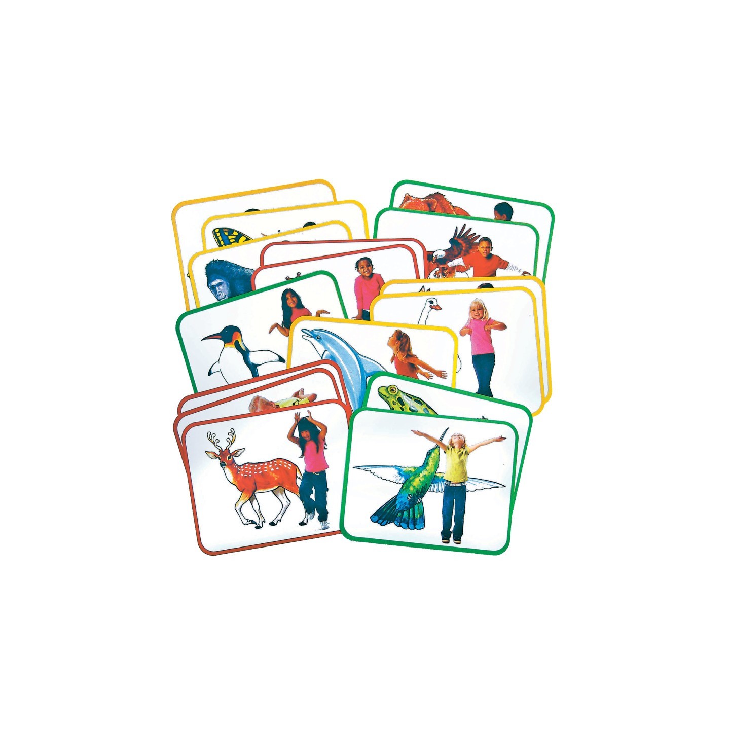 Roylco® Body Poetry: Animal Action Cards, Pack of 16
