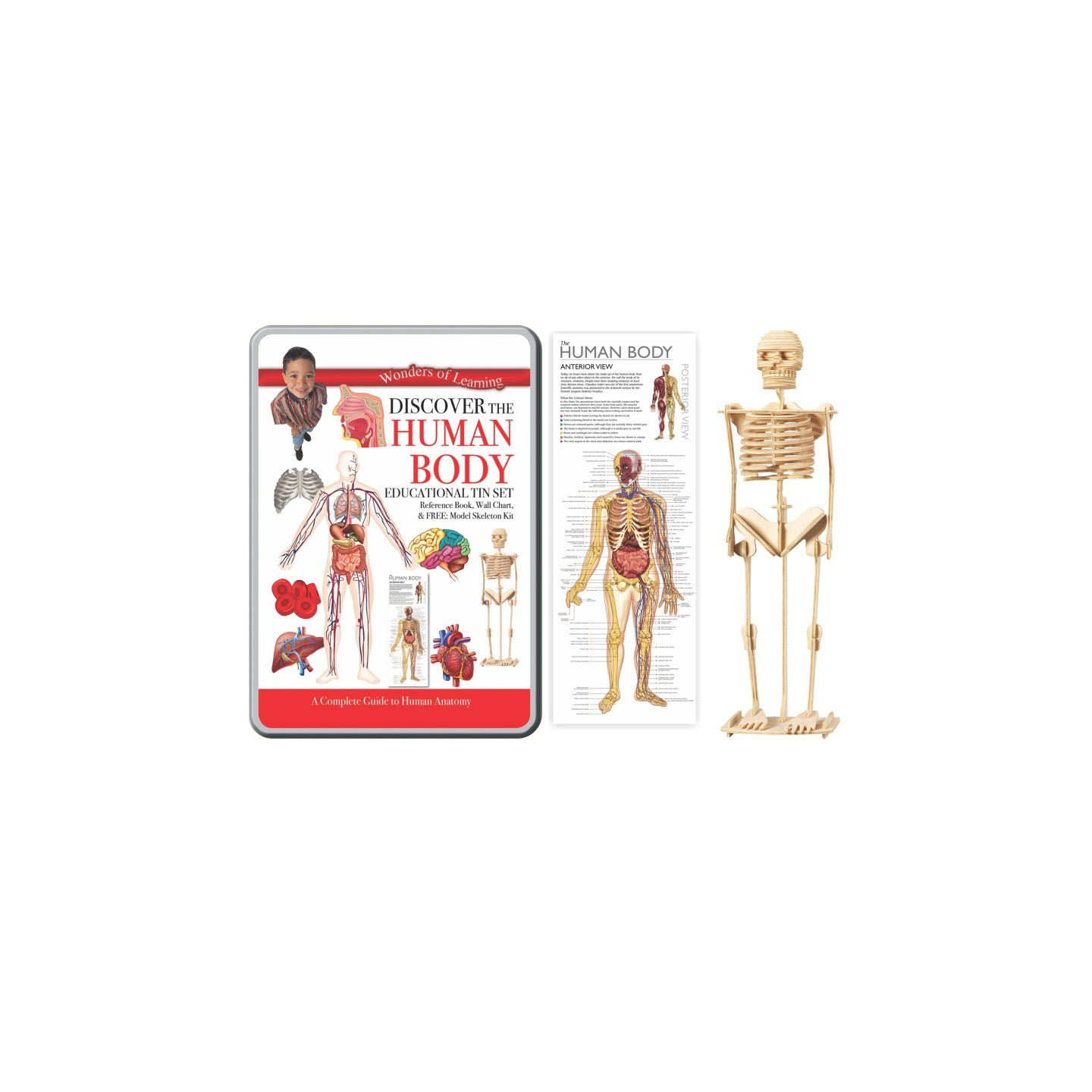 Wonders of Learning Wonders of Learning Tin Set, Discover the Human Body
