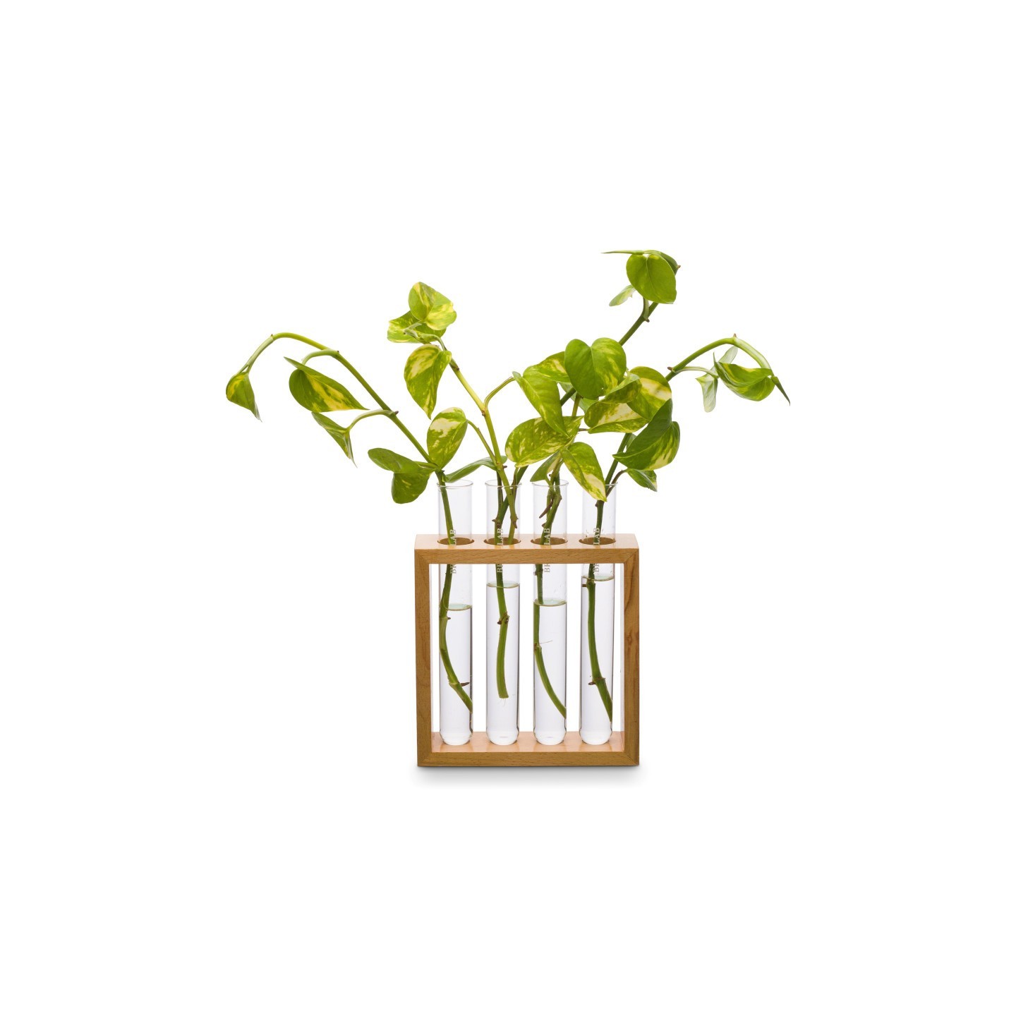 Supertek® Square Plant Holder