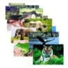 Stages Learning Materials Wild Animals Poster Set, Set of 10
