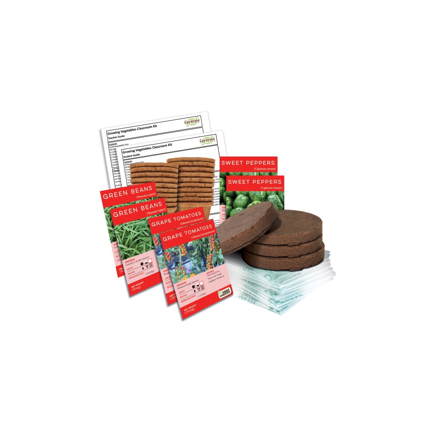 Fernroot Growing Vegetables Classroom Kit