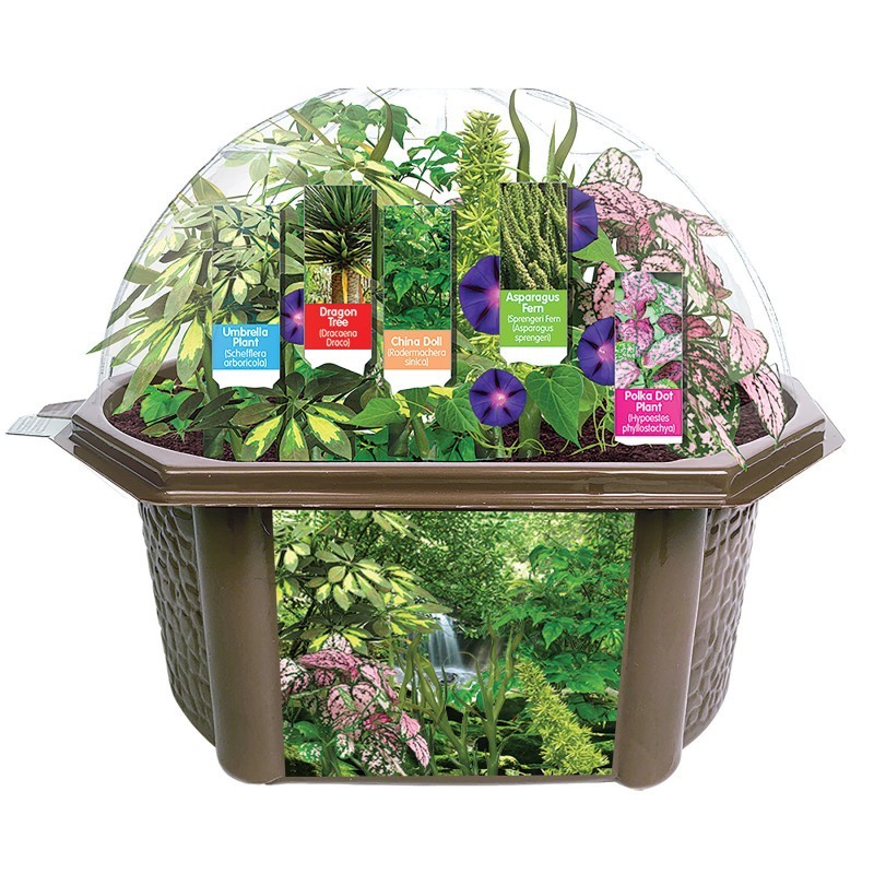 Fernroot Rainforest Biosphere