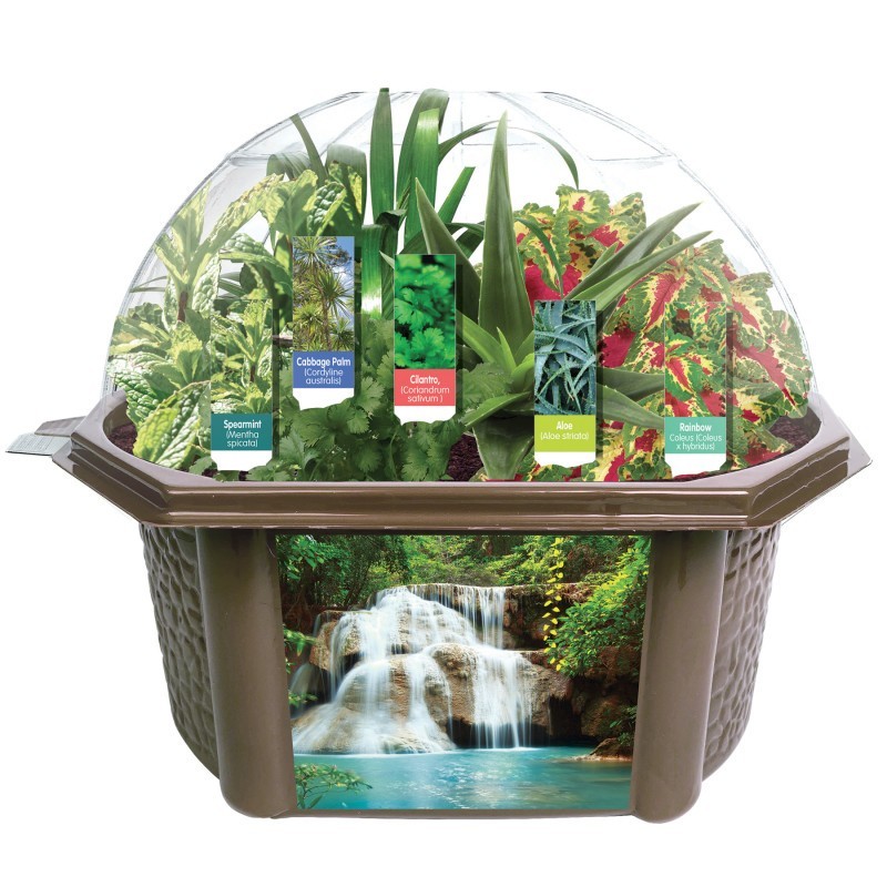 Fernroot Sensory Biosphere