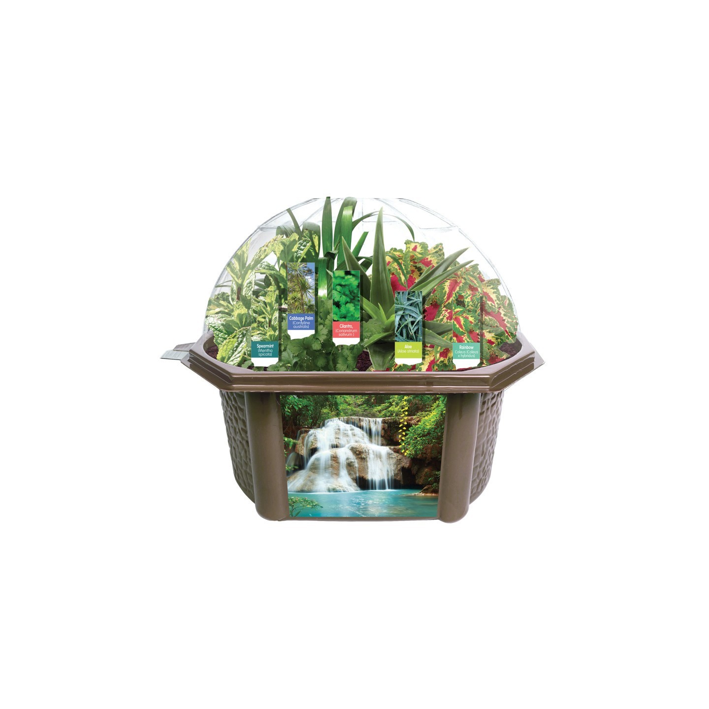 Fernroot Sensory Biosphere