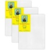 Strathmore 300 Series Gallery Stretched Canvas, 9x12 inch, Pack of 3