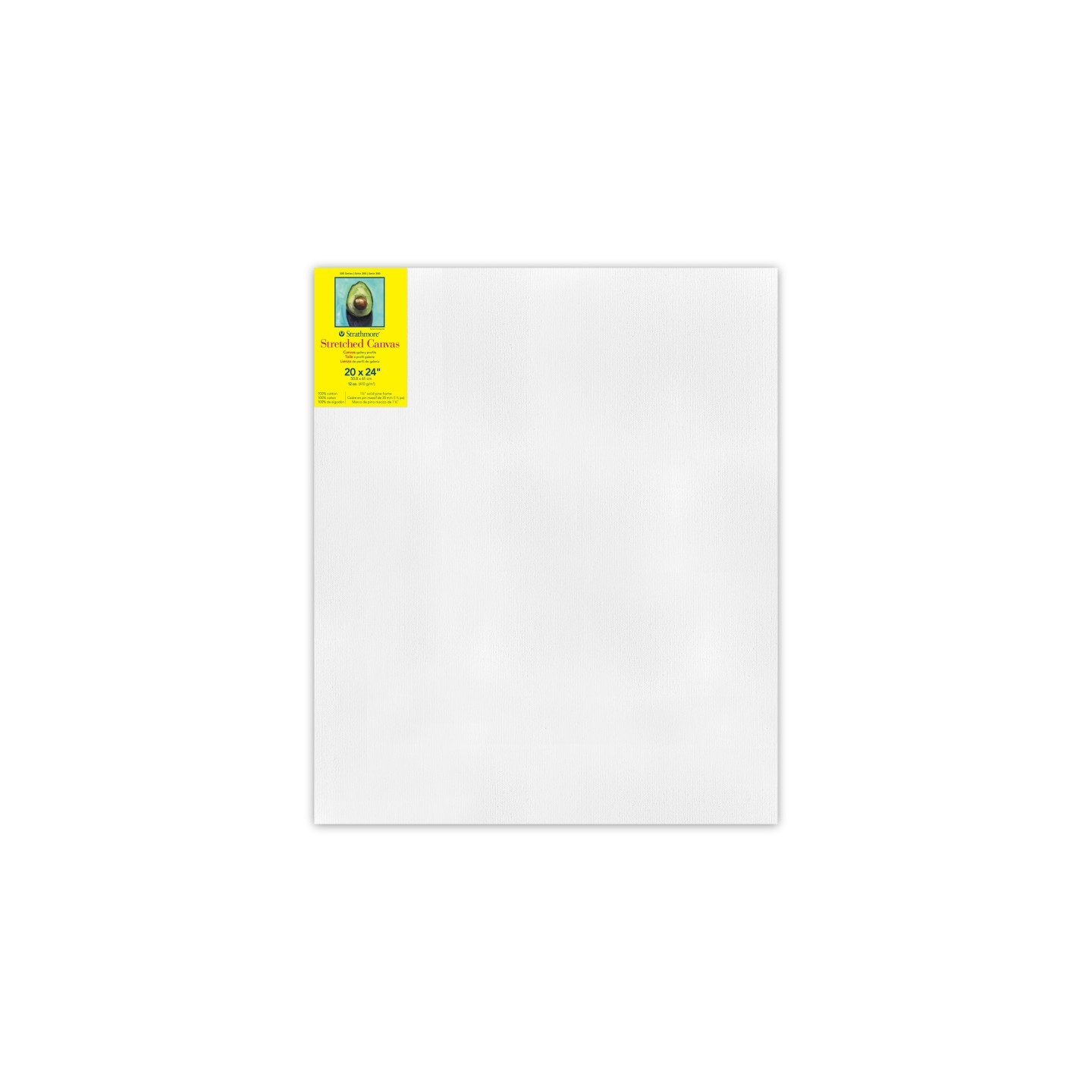 Strathmore 300 Series Gallery Stretched Canvas, 20x24 inch