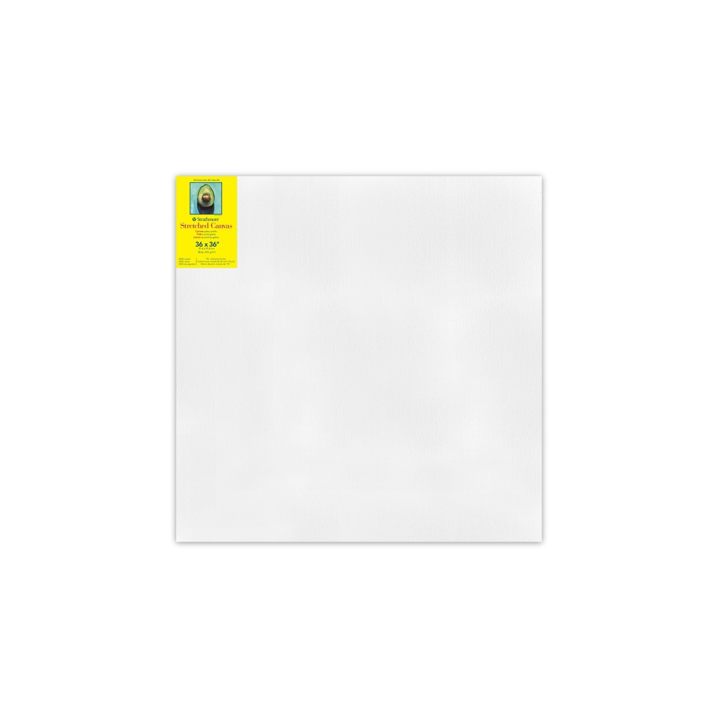 Strathmore 300 Series Gallery Stretched Canvas, 36x36 inch