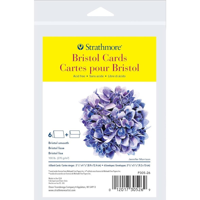 Strathmore 300 Series Bristol Cards & Envelopes, Anniversary Size, 3.5x4.875 inch, 6 Pack