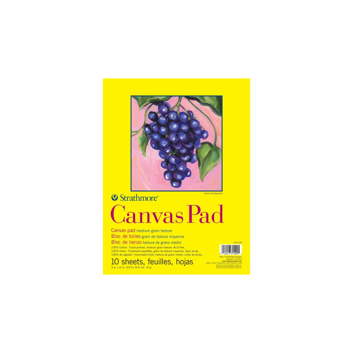Strathmore 300 Series Canvas Pad, Tape Binding, 10 Sheet, 9x12 inch, 1 Count