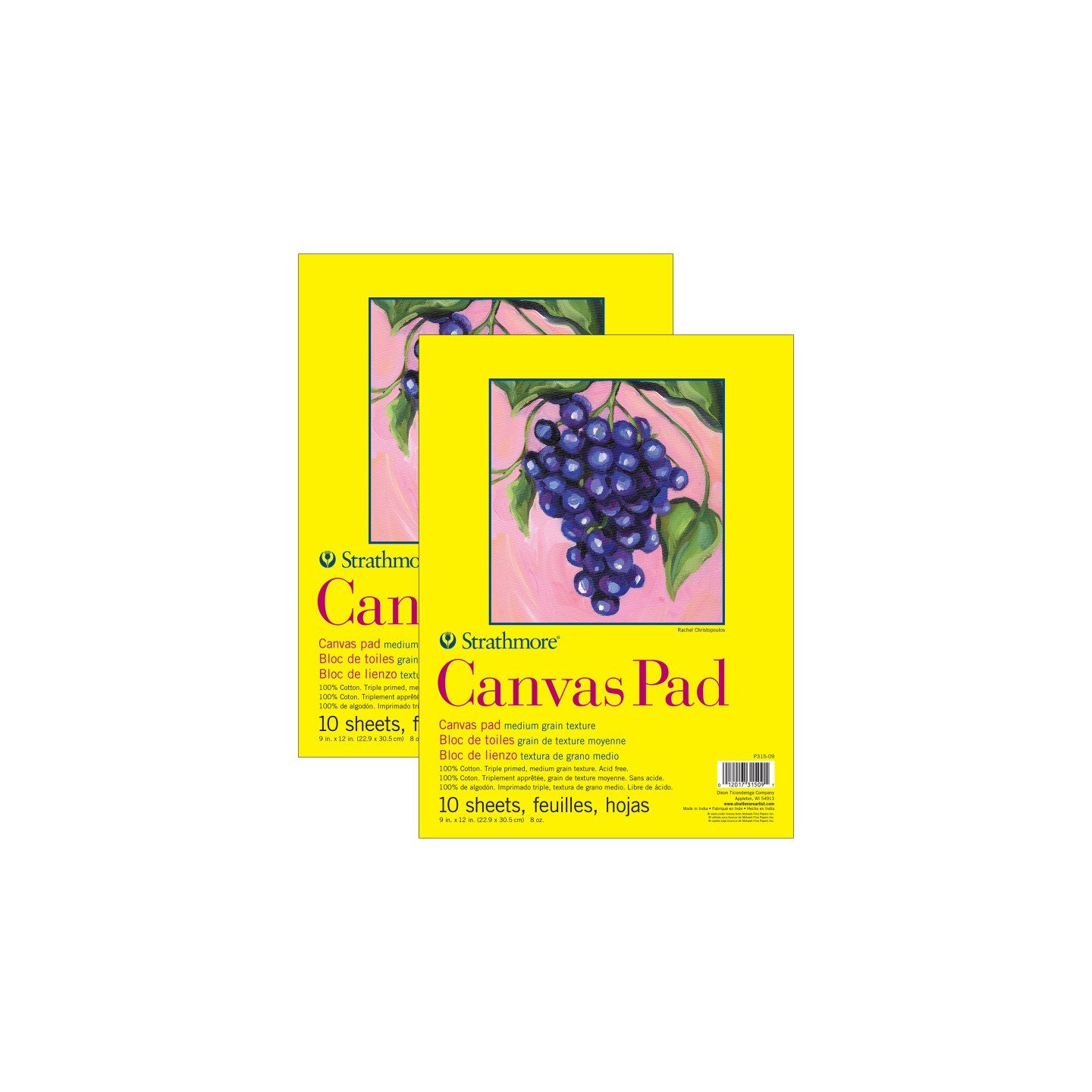 Strathmore 300 Series Canvas Pad, Tape Binding, 10 Sheet, 9x12 inch, Pack of 2