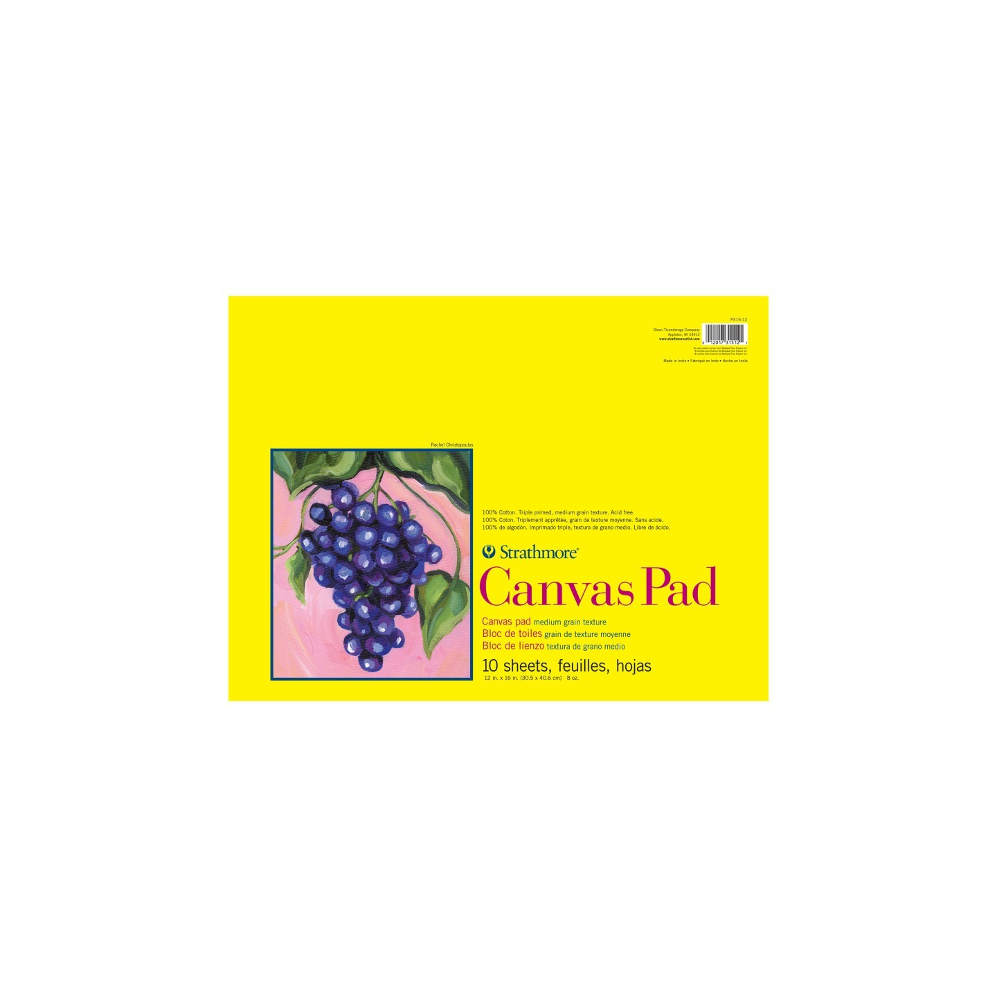Strathmore 300 Series Canvas Pad, Tape Binding, 10 Sheet, 12x16 inch, 1 Count