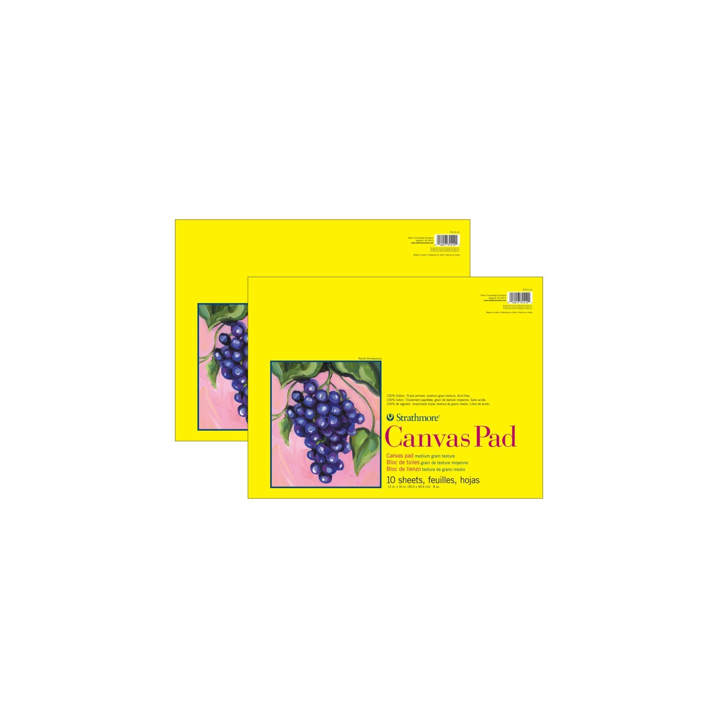 Strathmore 300 Series Canvas Pad, Tape Binding, 10 Sheet, 12x16 inch, Pack of 2