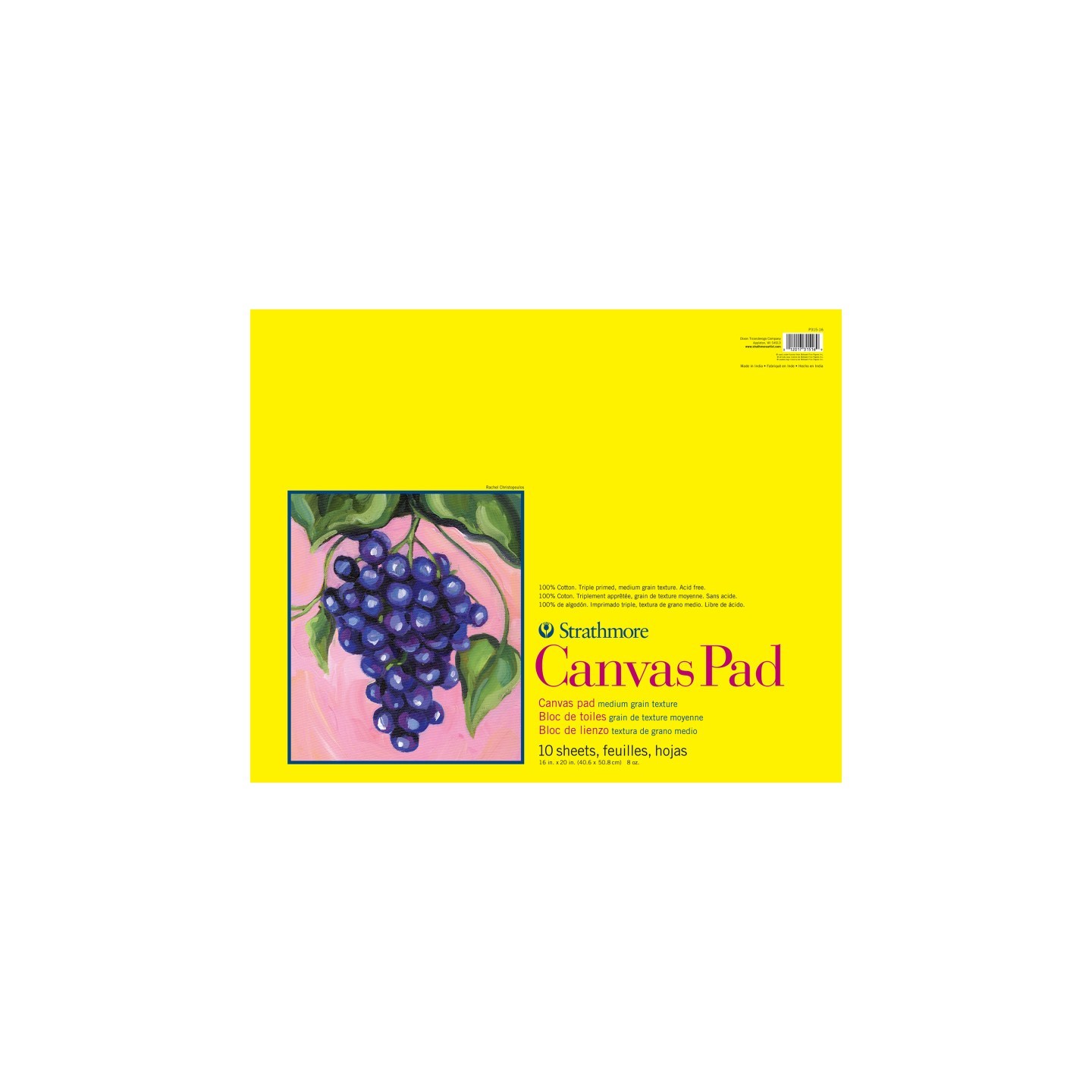 Strathmore 300 Series Canvas Pad, Tape Binding, 10 Sheet, 16x20 inch, 1 Count