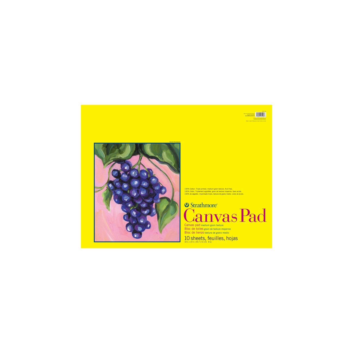 Strathmore 300 Series Canvas Pad, Tape Binding, 10 Sheet, 18x24 inch, 1 Count