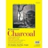 Strathmore 300 Series Charcoal Pad, Glue Binding, 32 Sheet, 9x12 inch, 1 Count
