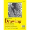 Strathmore 300 Series Drawing Pad, Glue Binding, 50 Sheet, 9x12 inch, 1 Count