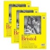 Strathmore 300 Series Bristol Pad, Vellum Finish, Tape Binding, 20 Sheet, 9x12 inch, Pack of 3